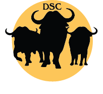 DSC Frontline Foundation Logo